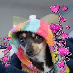 Meet your Posher, Luz angela